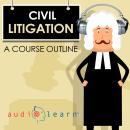 Civil Litigation AudioLearn — A Course Outline Audiobook