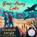 Gone-Away Lake Audiobook