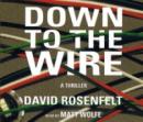 Down to the Wire, David Rosenfelt
