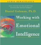 Working with Emotional Intelligence Audiobook