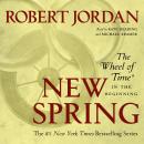 New Spring: The Novel Audiobook