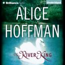 The River King Audiobook
