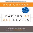 Leaders At All Levels: Deepening Your Talent Pool to Solve the Succession Crisis Audiobook