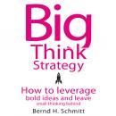 Big Think Strategy: How to Leverage Bold Ideas and Leave Small Thinking Behind, Bernd H. Schmitt