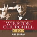 Winston Churchill CEO: 25 Lessons for Bold Business Leaders
