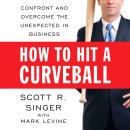 How to Hit a Curveball: Confront and Overcome the Unexpected in Business Audiobook