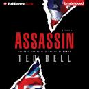 Assassin, Ted Bell