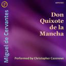 Don Quixote de la Mancha Audiobook
