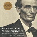 Lincoln's Melancholy: How Depression Challenged a President and Fueled His Greatness Audiobook