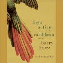 Light Action In the Caribbean: Stories Audiobook