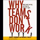 Why Teams Don't Work Audiobook