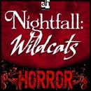 Nightfall: Wildcats, Christian Noak