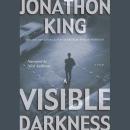 A Visible Darkness Audiobook