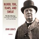 Blood, Toil, Tears, and Sweat: The Dire Warning: Churchill's First Speech as Prime Minister, John Lukacs