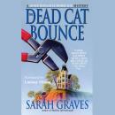 Dead Cat Bounce, Sarah Graves
