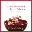 Guided Meditations for Love and Wisdom: 14 Essential Practices Audiobook
