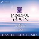 The Mindful Brain: The Neurobiology of Well-Being Audiobook