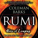 Rumi: Voice Of Longing Audiobook