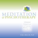 Meditation and Psychotherapy: A Professional Training Course for Integrating Mindfulness into Clinical Practice Audiobook