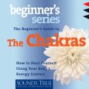 The Beginner’s Guide to the Chakras: How to Heal Yourself using Your Body's Energy Centers Audiobook