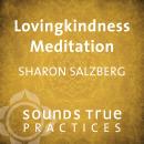 Lovingkindness Meditation: Learning to Love Through Insight Meditation Audiobook