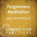 Forgiveness Meditation Audiobook