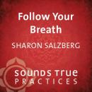 Follow Your Breath: A Foundational Technique Audiobook