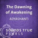 The Dawning of Awakening: Glimpses into the Nature of Reality Audiobook