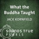 What the Buddha Taught: Essential Teachings on the Path of Liberation Audiobook