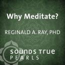 Why Meditate?: The Importance of Meditation in the Modern World Audiobook