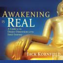 Awakening Is Real: A Guide to the Deeper Dimensions of the Inner Journey Audiobook