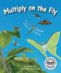 Multiply on the Fly Audiobook