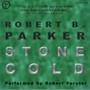 Stone Cold Audiobook