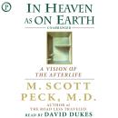 In Heaven as on Earth: A Vision of the Afterlife Audiobook