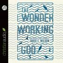 The Wonder-Working God: Seeing the Glory of Jesus in His Miracles Audiobook