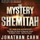 The Mystery of Shemitah Audiobook