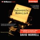 The Successful Novelist Audiobook