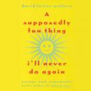 A Supposedly Fun Thing I'll Never Do Again: Essays and Arguments Audiobook