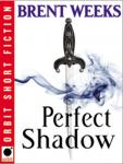 Perfect Shadow: A Night Angel Novella Audiobook
