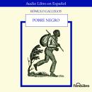 [Spanish] - Pobre Negro Audiobook