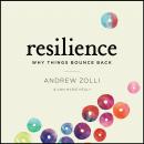 Resilience: Why Things Bounce Back Audiobook