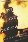 Last Train From Cuernavaca Audiobook