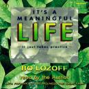 It's a Meaningful Life Audiobook