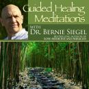 Guided Healing Meditations Audiobook