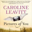 Pictures of You Audiobook