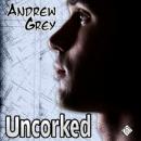 Uncorked Audiobook