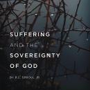 Suffering and the Sovereignty of God Teaching Series Audiobook