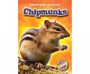 Chipmunks Audiobook