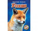 Foxes Audiobook