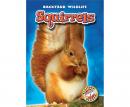 Squirrels Audiobook
